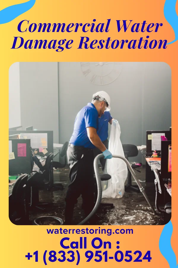 Commercial Water Damage Restoration in Gardi, GA