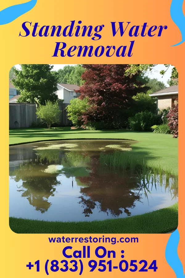 Standing Water Removal in Gardi, GA